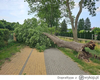 DopraRypa - 312 428 + 67 = 312 495

Sobotnia runda po nawałnicy.

#rowerowyrownik

Sk...