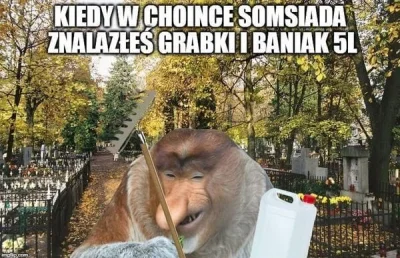 pawello321 - #konkursnanajbardziejgownianymemznosaczem