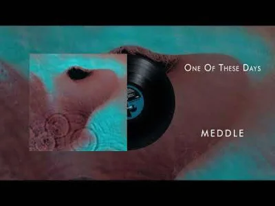 Rzewliwywykolejeniec - one of these days, I'm going to cut you into little pieces_ (P...