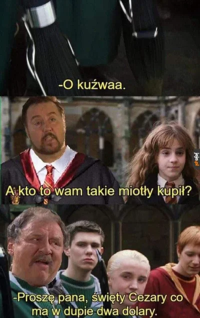 Gavran - #harrypotter