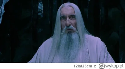 12lat25cm - -bądź brodatym dziadem
-miej syndrom oblężonej twierdzy
-w swoim delulu p...