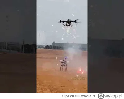CipakKrulRzycia - #skynet #drony #heheszki
Mnie śmieszy. Bo co nam pozostało?!