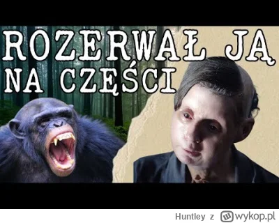 Huntley - Ciekawa i drastyczna historia, aż dziwię się, że dopiero teraz o niej słysz...