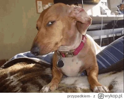 przypadkiem- - @Pietruchoowy