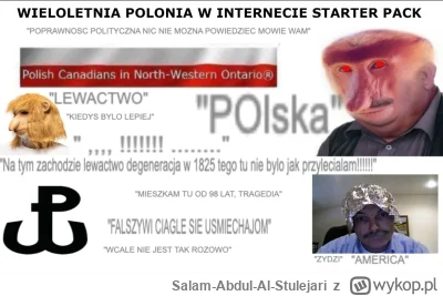 Salam-Abdul-Al-Stulejari - #heheszki #bekazpolakow #humorobrazkowy