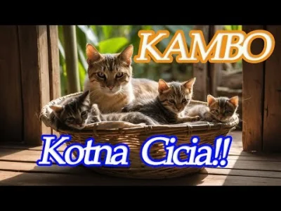 bartekradek - #raportzpanstwasrodka 
Wyświetlenia mówią, że przeoczyliście ten zacny ...