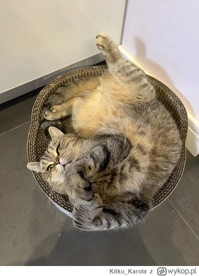 KitkuKarola - @wybryknatury