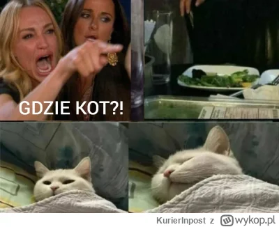 KurierInpost - #smiesznekotki