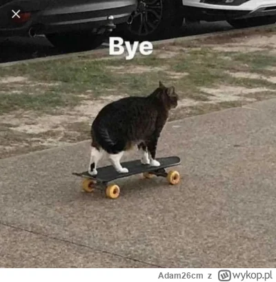 Adam26cm - Alonso widzący w lusterku jak Piastri traci pozycję:

#f1