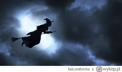 falconiforme - Nie przez przypadek czarownica lata na miotle.

Ja sprzątam lepiej od ...