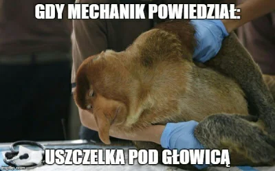 nowaczq - #f1( ͡º ͜ʖ͡º)