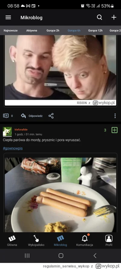 regulaminserwisuwykop - @RBBN