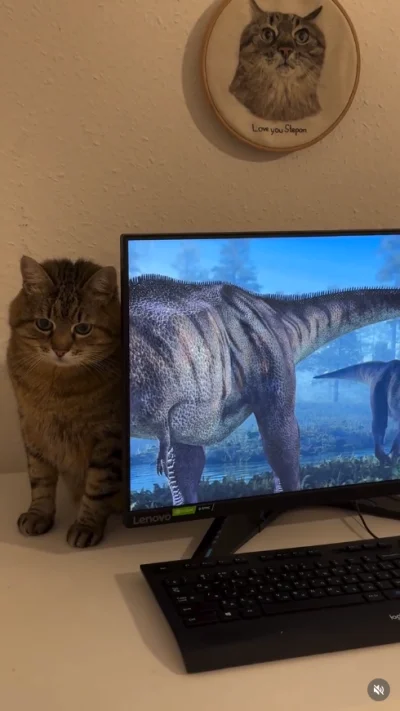 vateras131 - #codziennystepan #dziwnekotki