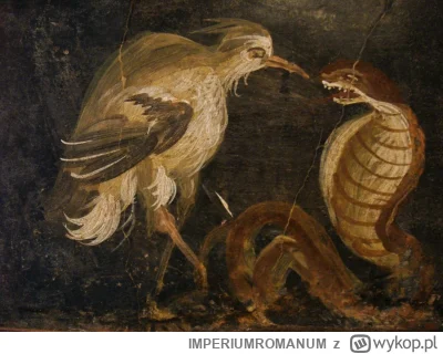IMPERIUMROMANUM - Rzymski fresk ukazujący walkę czapli i kobry

Rzymski fresk ukazują...