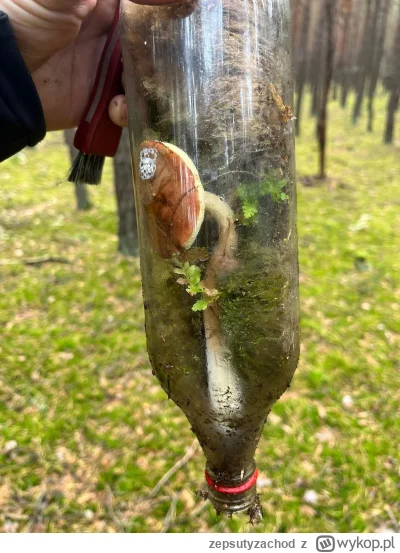 zepsutyzachod - @zepsutyzachod