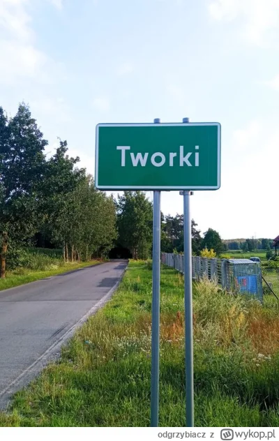 odgrzybiacz - Zaraz odwiozą mnie do Tworek!