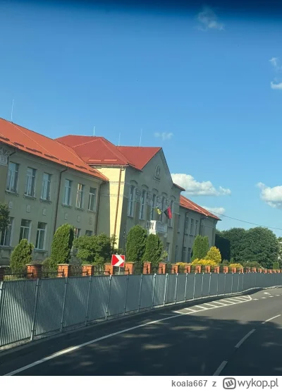 koala667 - @koala667: