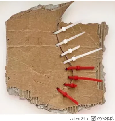 callver34 - Kiedy wrzuciłem mój artykuł (szeroko cytowany, btw) o tytule "Polski magi...