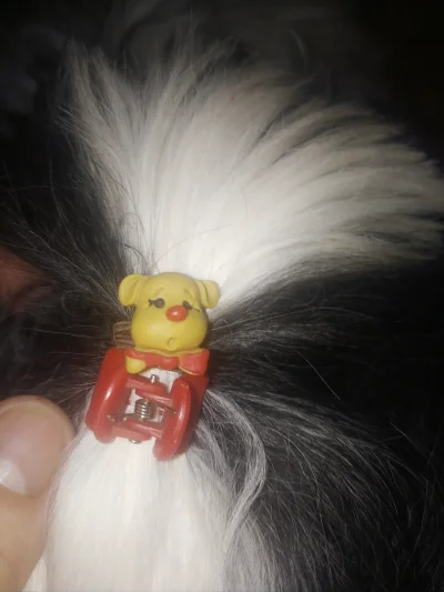 HorrorystycznyDemonPagona - Takiego kucyka żem dzisiaj zrobił dla swojego psieckowego...