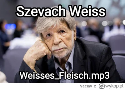 Vaclav - #heheszki #rammstein