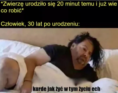 Jestem_Tutaj - Ehhhh