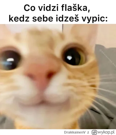 DrakkainenV - Ahoj.
#czeskiememy