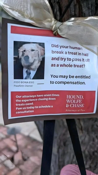 stefan_pmp - #frajerzyzcoponiedzialkowegomlynawodnego