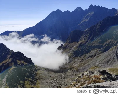 hos85 - @vateras131 w rzeczy samej (⌐ ͡■ ͜ʖ ͡■)