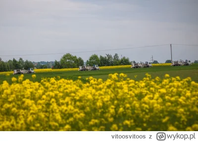 vitoosvitoos - W okolicy trwają poszukiwania złóż gazu.