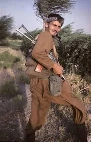 TheTostu - Radosław Sikorski ostatnio odradził flotylli Sumud załadowanej jedzeniem, ...