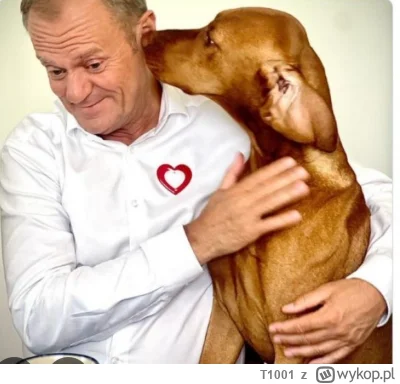 T1001 - @o__0:  nie wiem co on robi ale pies mu morde lizał, pod głosy.