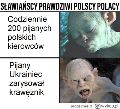 progejmer - @Ksenomorf1: a każdy Polak na zachodni front?