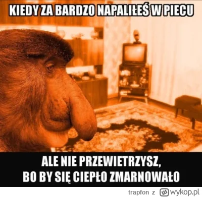 trapfon - #heheszki #polska