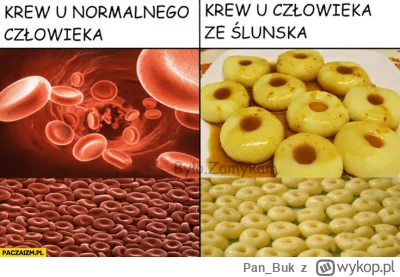 Pan_Buk - Ale serio, co świadczy o NARODOWOŚCI śląskiej? Czy Śląsk miał ostatnio swoj...