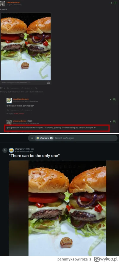 paramyksowiroza - Taaaaaa, zrobiłeś...
@cheeseandonion

#szama #gotujzwykopem

@czuje...