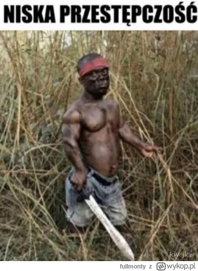fullmonty - tak statystycznie to w USA jest coraz niższa przestępczość