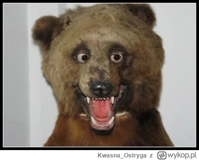 Kwasna_Ostryga - @Kriter