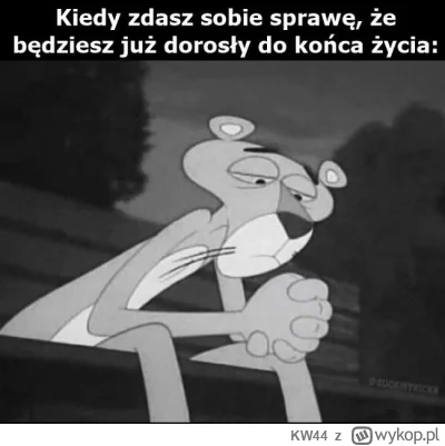 KW44 - Dzienna czy nocna już?