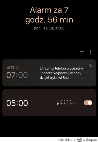 PalecPlec - Właśnie wyłączam budzik, za to lubię #drugazmiana