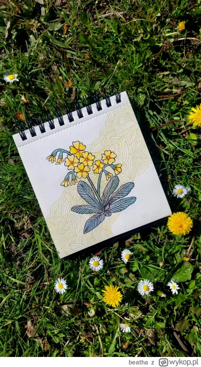 beatha - Light me up, I'm wasted in the dark
There's something we might miss
A whole ...