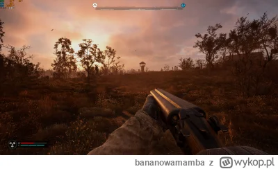 bananowamamba - No jest klimacik
#stalker