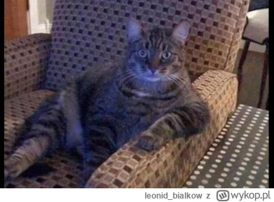 leonid_bialkow - zdjęcia steckiej to zaraz usuwajo, ale scat to se może wisieć 20 min...