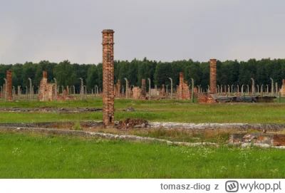 tomasz-diog - Ciekawe ile potrwa aż ktoś wpadnie na pomysł ponownego rozpalenia ?