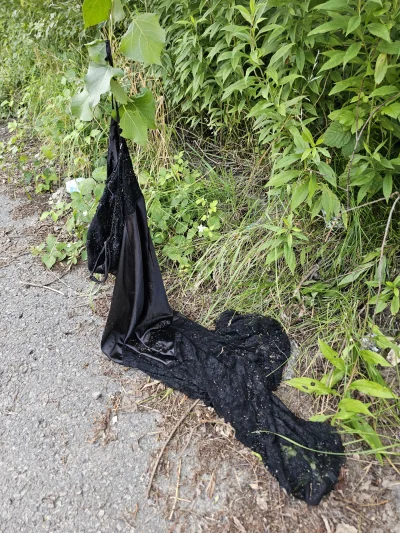 remlezar - #przegryw 

Jeszcze jedno zdjęcie ze spierdotripu, oskie tak peklowały w k...