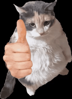 Strigon - Ja kiedy jakiś normik na tagu udziela swoich genialnych rad na wyjście z pr...