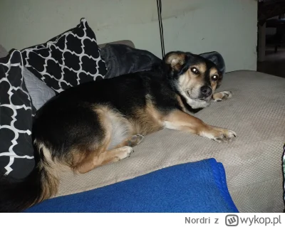 Nordri - @Nordri a tu Ciapek