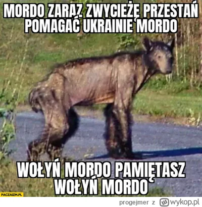 progejmer - >Morawiecki był na Ukrainie i co? I zrobił cyrk medialny nawet nie odwied...