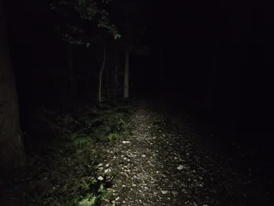 penkroff - a ja nie wiem nie wiem po co lubie chodzić ciemną nocą