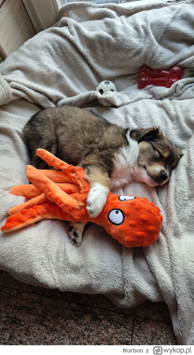 Nurbon - @theonewhoknowstheonlyTruth: ale po kolei, na spokojnie. Jak narazie Bonda n...