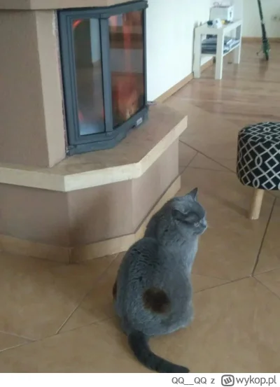 QQ__QQ - @------------------: